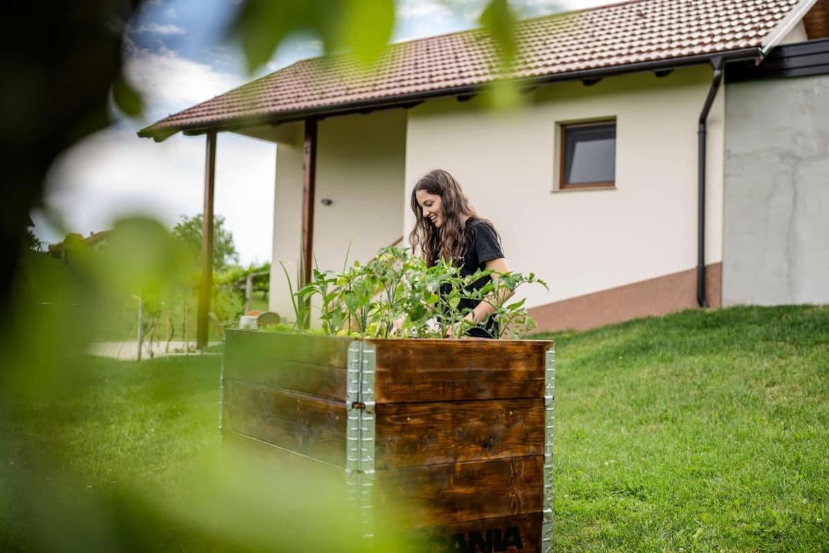 Holiday House Zlacka Gorca Pristava pri Mestinju Buitenkant foto